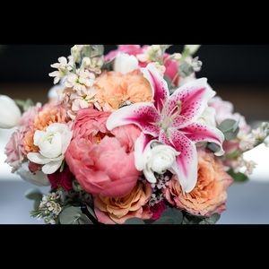 Meet your Posher, Mackenzie